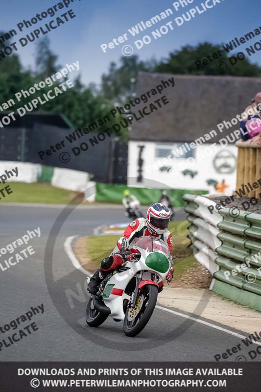 Vintage motorcycle club;eventdigitalimages;mallory park;mallory park trackday photographs;no limits trackdays;peter wileman photography;trackday digital images;trackday photos;vmcc festival 1000 bikes photographs